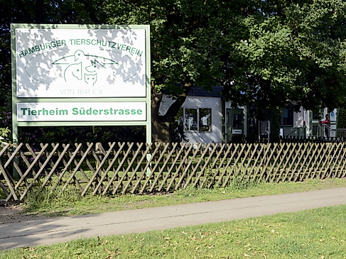Tierheim Süderstraße