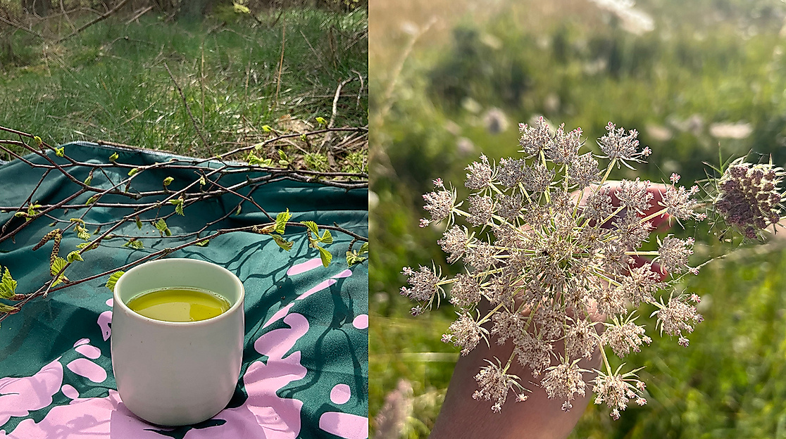 Wildkräuter und Teezeremonie Schleswig-Holstein