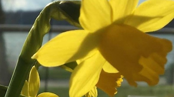 Ostergottesdienst im Friedrich-Ebert-Krankenhaus Neumünster