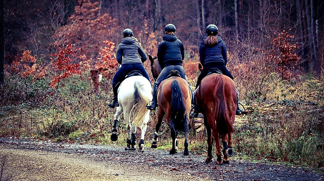 3. Wingster Reiter Rallye