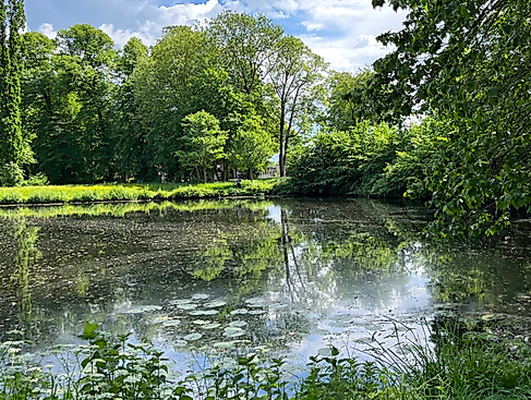 Teich in Glückstadt