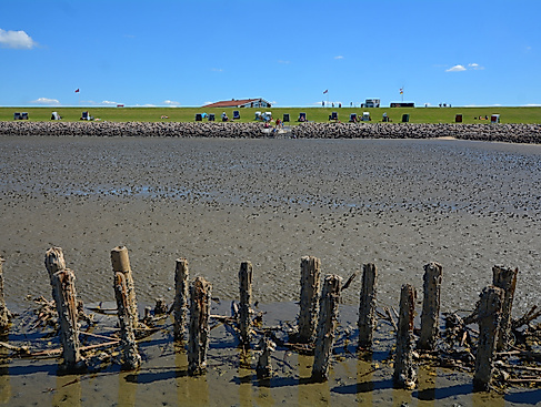 Riesenwattwanderung „Drei-Priele-Tour“