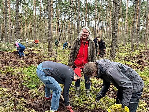 Uelzen pflanzt 2024