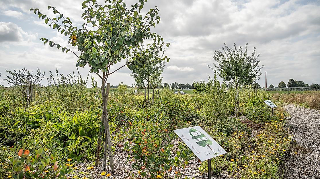 Waldgarten-Führung – Einblicke in eine nachhaltige Zukunft