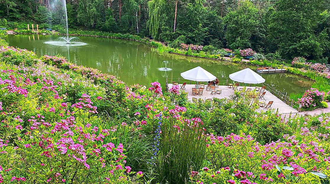 Rosenwochen am Michaelshof