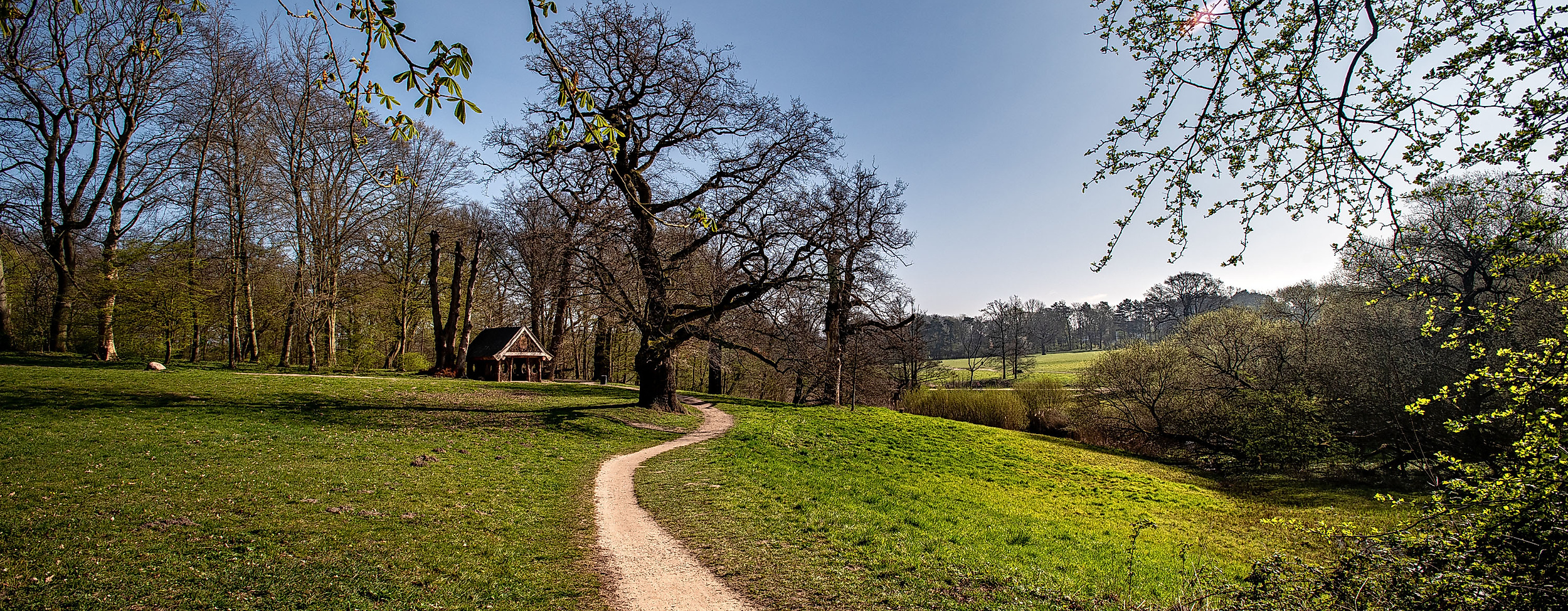 Jenisch Park Frühling