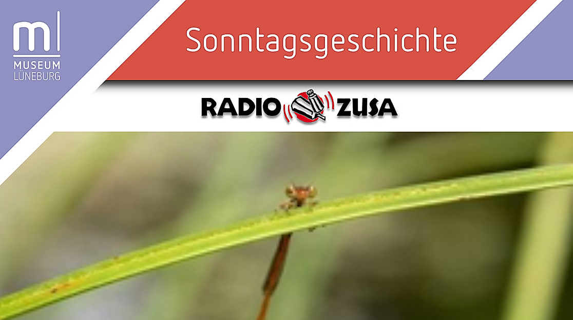 Unterhaltsames aus der Insektenwelt aus 20 Jahren Radio ZuSa Biotop