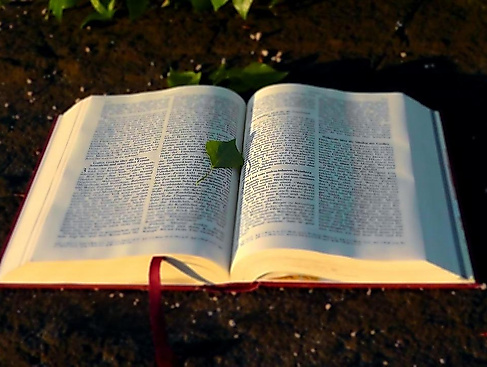 Aufgeschlagenes Buch