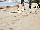 Menschen und Hunde am Elbstrand mit Blick auf die Elbe und den Hamburger Hafen im Hintergrund