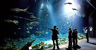 Tropen-Aquarium Hagenbeck