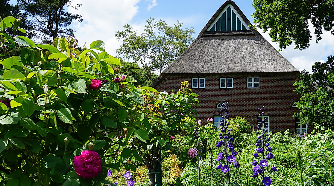 Historischer Münsterhof