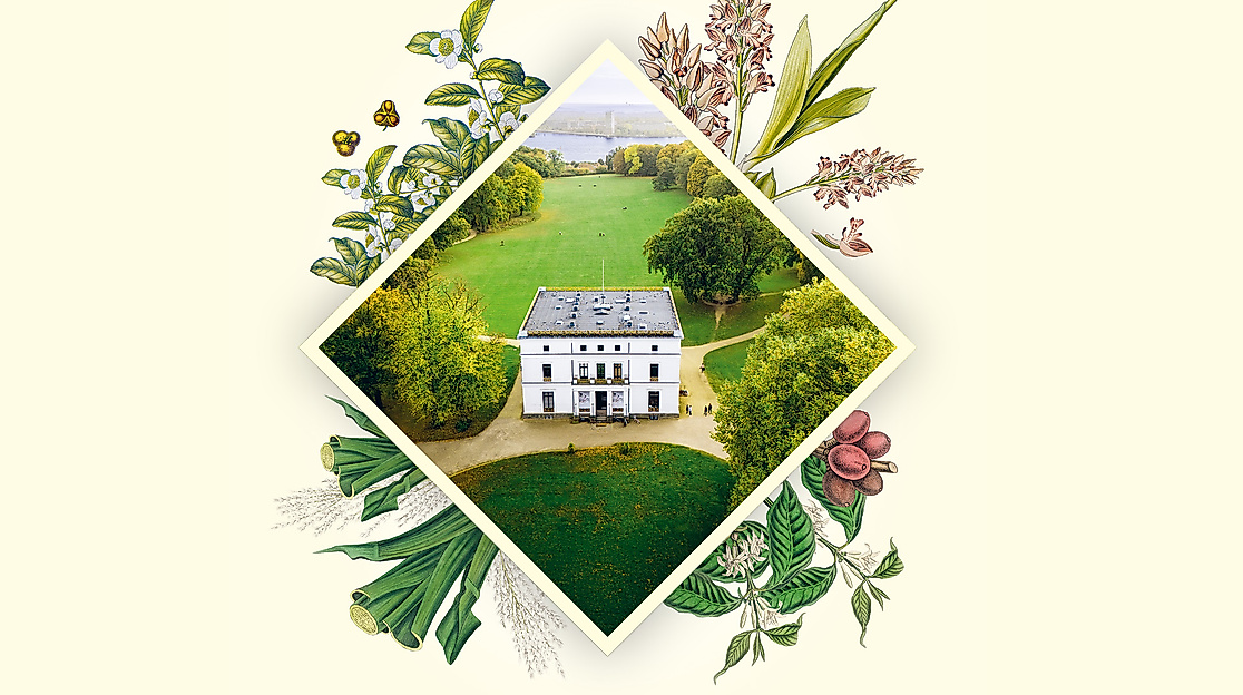 SHMH_JH-Parkomania_Onlineformate_1920x1080-pur