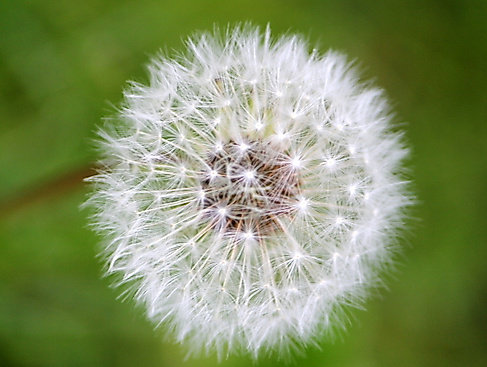 Wir laden ein zum Ostergottesdienst nach Boostedt