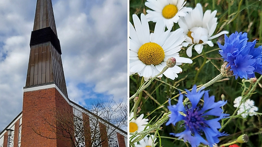 Außenansicht St. Johannes + Blumenwiese