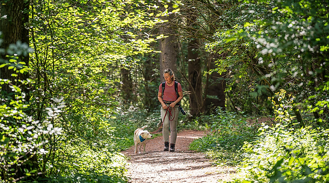 Pfotentour im Naturpark Lüneburger Heide