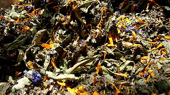 kraeuter-kosmetik-mistel-4_kraeuter-kosmetik-mistel