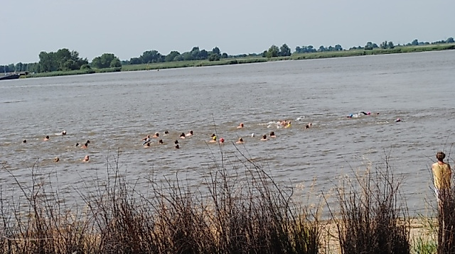 14. Hermann-Allmers-Schwimmen