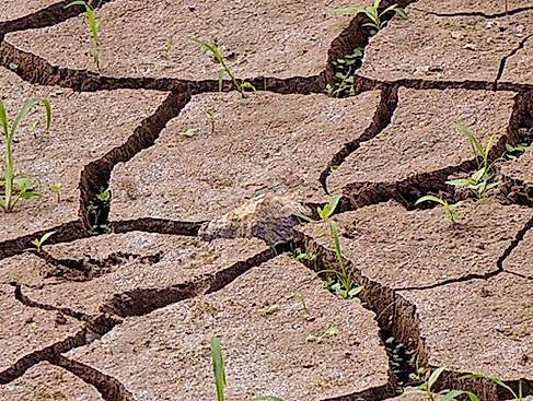Klimawandel – eine unterschätzte Fluchtursache