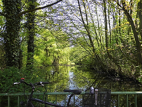 Maiengrün an der Wandsebrücke