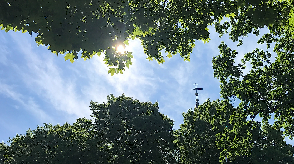 Sommergottesdienst