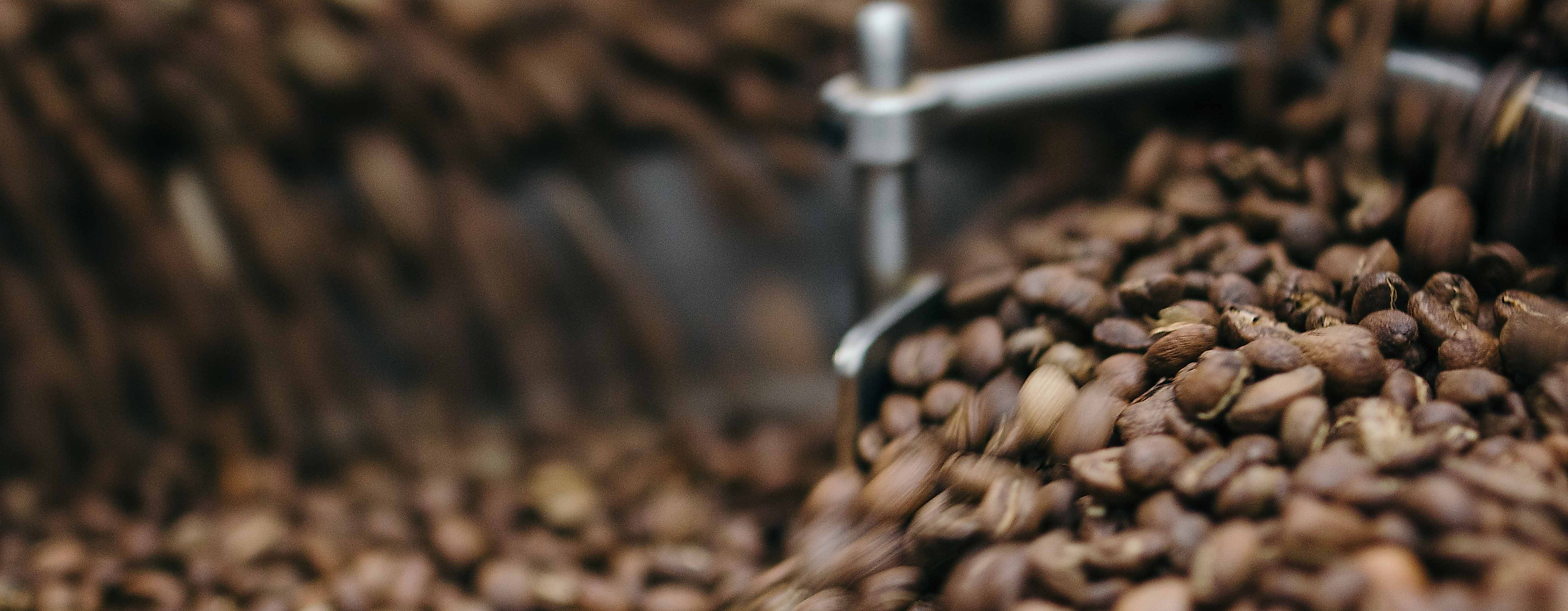 Geröstete Kaffeebohnen in einer industriellen Röstmaschine, frisch bewegt und aromatisch