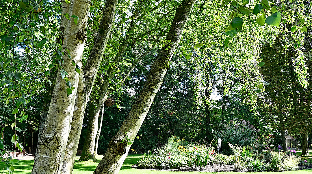 Amtsgarten_2