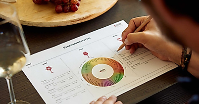 rindchen_weinseminar-c-rindchen-weinkontor-2