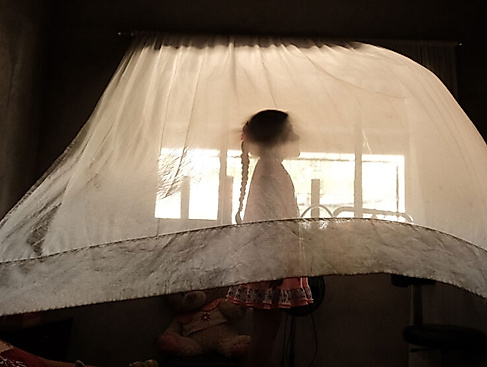 ÖF: WPPA 2026 auf ukrainisch