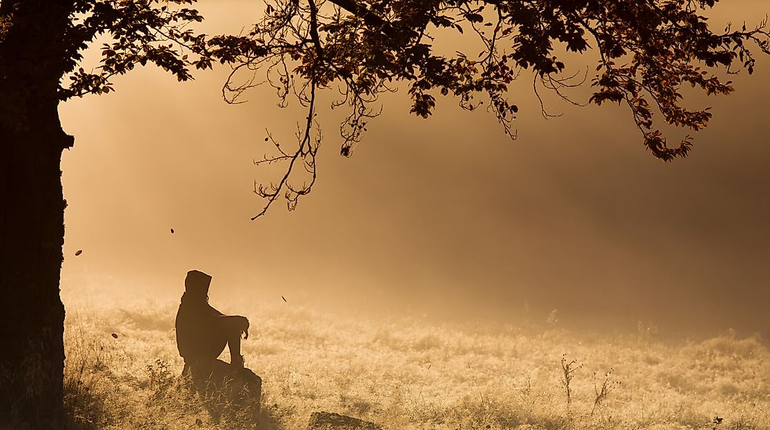 Meditation in der Natur