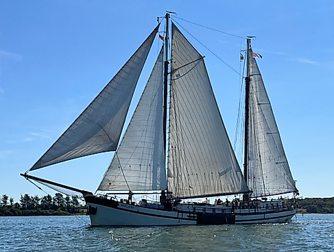 ELEGANT unter Segeln