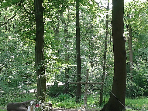 Altar im Wehlbrook