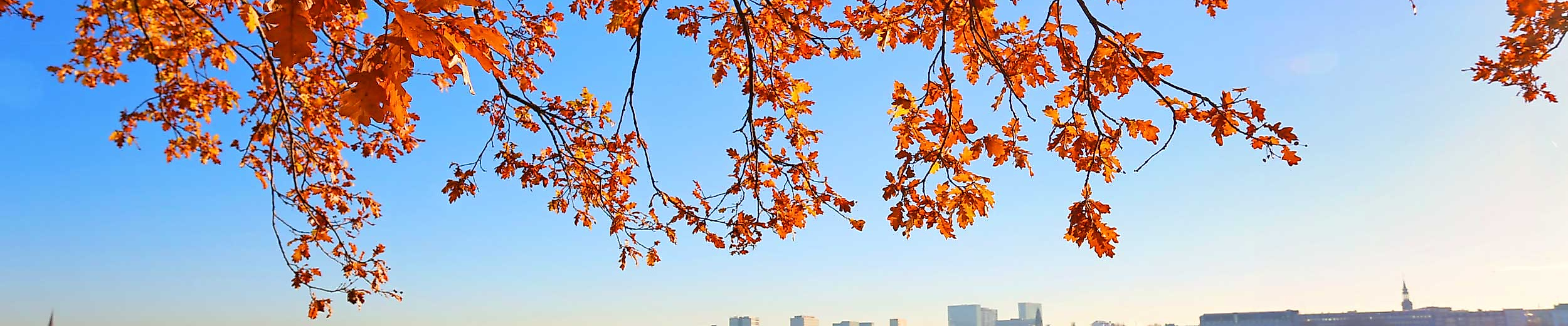 Alster in Hamburg im Herbst