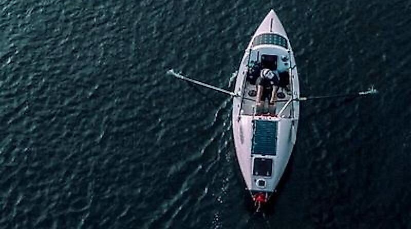 Row of Life | OmU