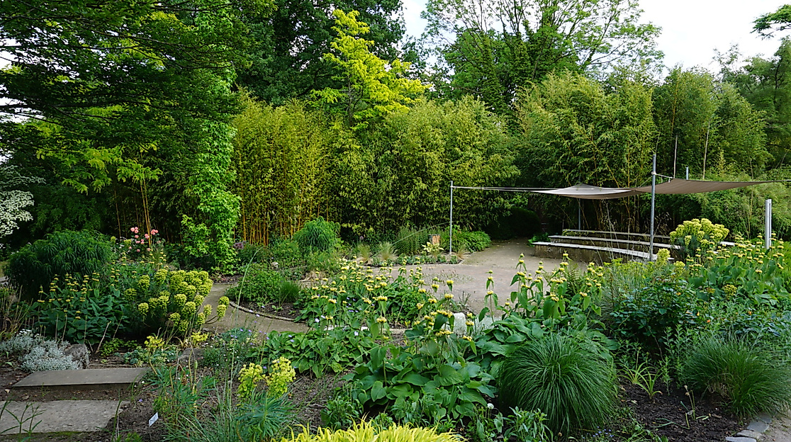 NDR-Garten im Arboretum Ellerhoop