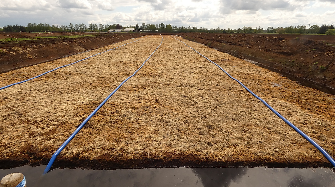 Führung zu den NABU-Klimafonds Renaturierungsflächen