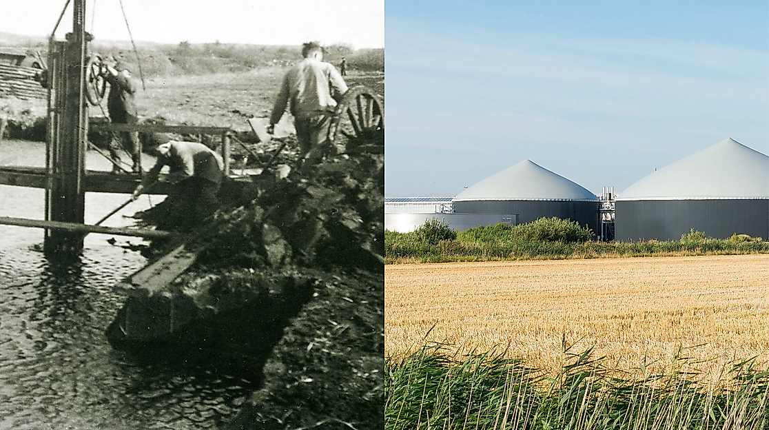 Brenntorf und Biogas – Energie aus Pflanzen