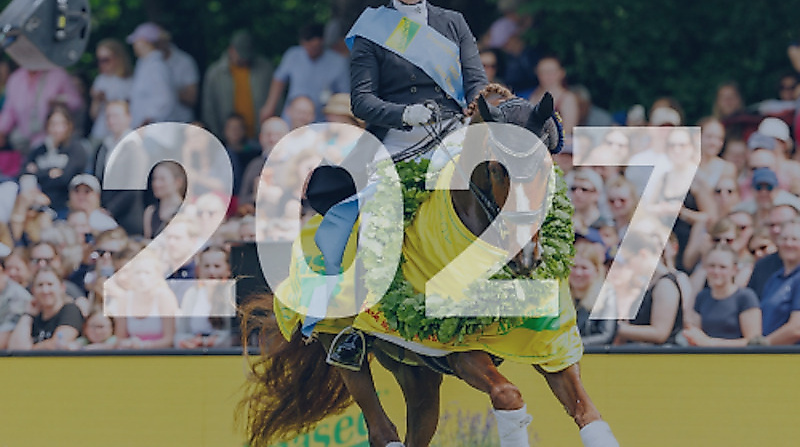 Tageskarte Sonntag Dressur 2027