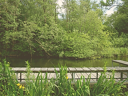 Kurparkführung