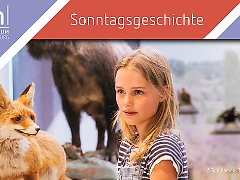 Sonntagsgeschichte Museum Lüneburg 01032026 Mensch-Umwelt-Beziehungen