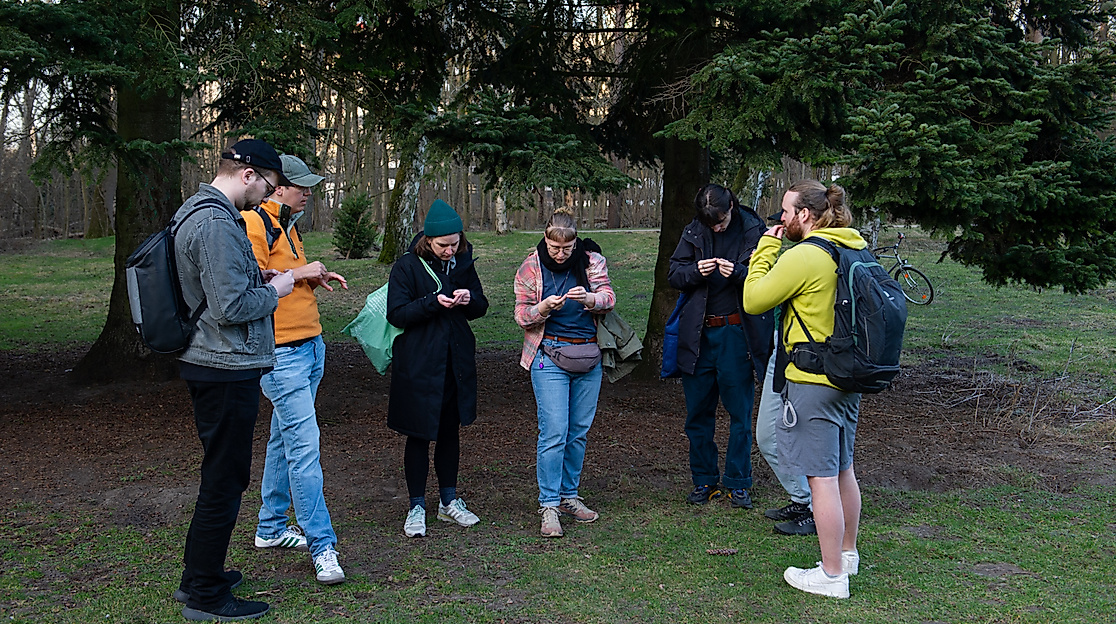 ars-eco-lab-Naturfuehrung-Tannen