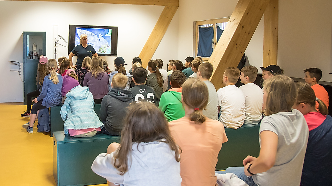 Dieses Jahr muss es klappen – eine aufregende Zugvogelgeschichte in bewegten Bildern