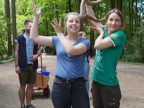 Geweihe erkennen Wild- und Waldrallye im Wildpark Schwarze Berge