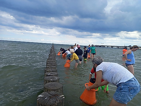 Aquaskop: Entdecke die Unterwasserwelt der Ostsee