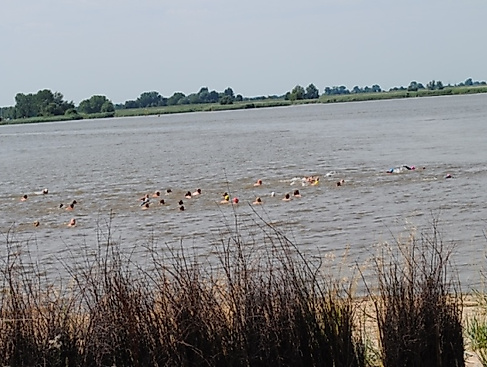 14. Hermann-Allmers-Schwimmen