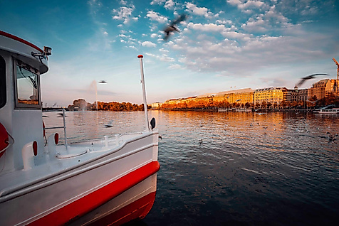 Boot auf der Alster bei Sonnenuntergang mit Möwen und herbstlich beleuchtetem Ufer in Hamburg