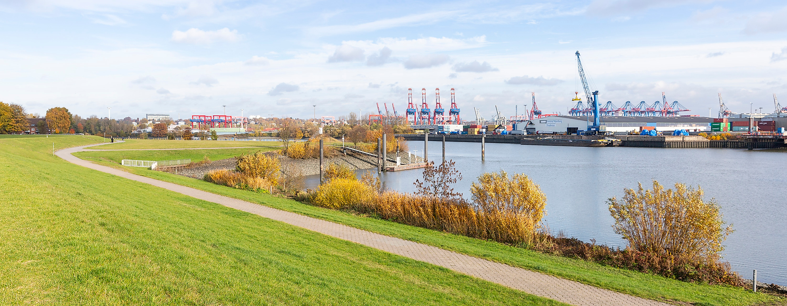 Grünanlage am Südufer der Elbe mit Blick auf Containerhafen und Hafenkräne in Hamburg-Harburg