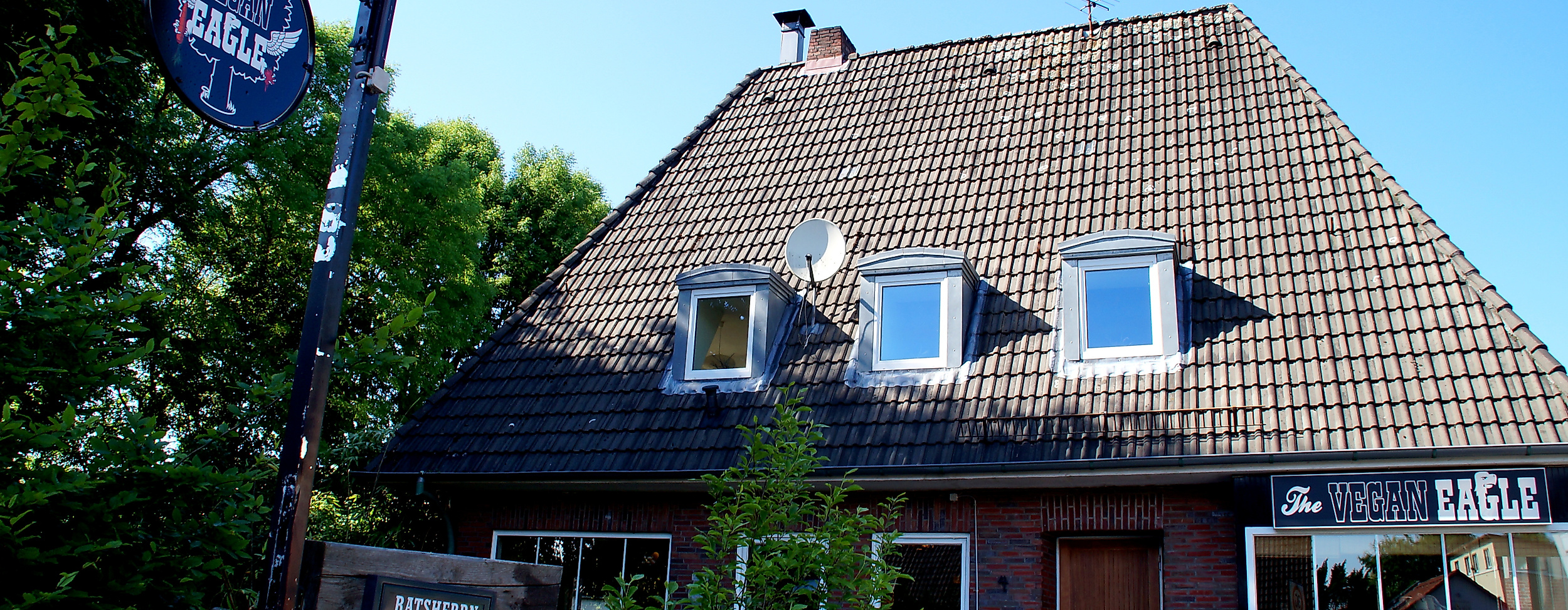 the-vegan-eagle_c-hannah-elser-9