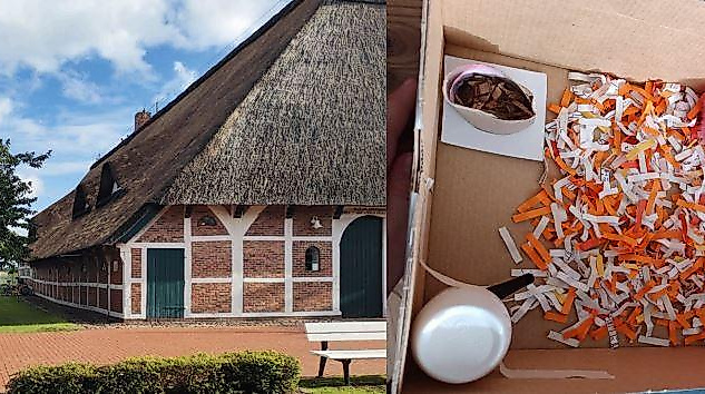 GRUMMOLOGIE - Die Welt der Grummel entdecken!