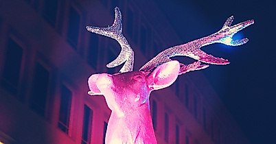 Winter Pride
