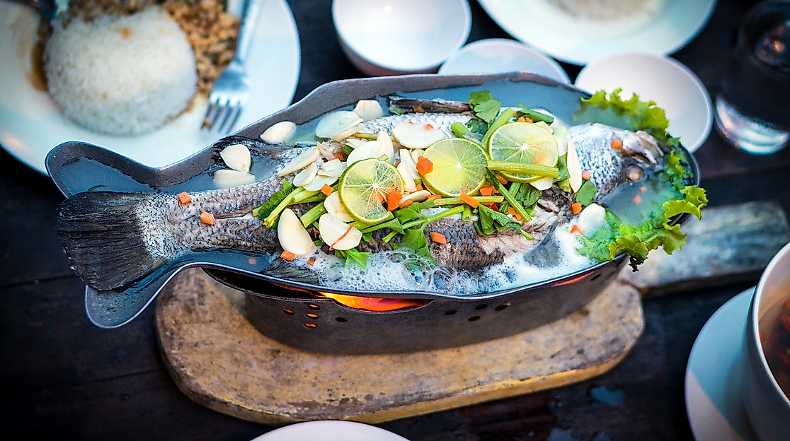 fish_c_arek-socha-pixabay